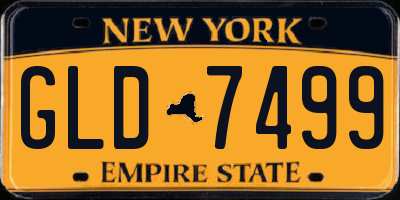 NY license plate GLD7499