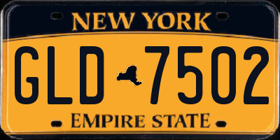 NY license plate GLD7502