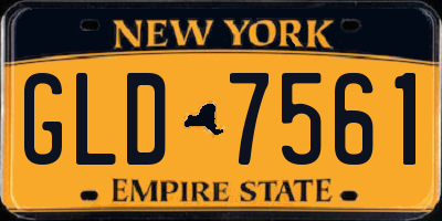 NY license plate GLD7561