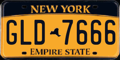 NY license plate GLD7666