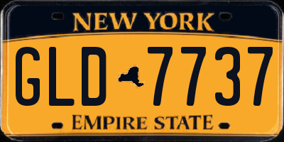 NY license plate GLD7737