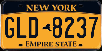 NY license plate GLD8237