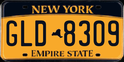 NY license plate GLD8309