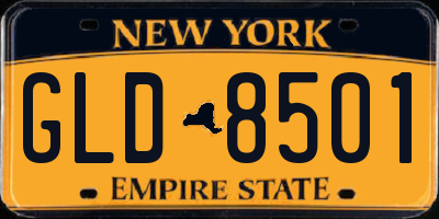 NY license plate GLD8501