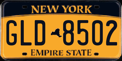 NY license plate GLD8502