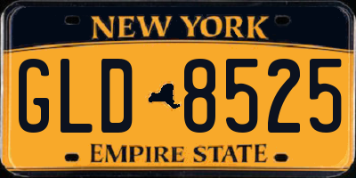 NY license plate GLD8525