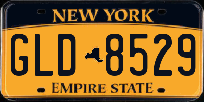 NY license plate GLD8529