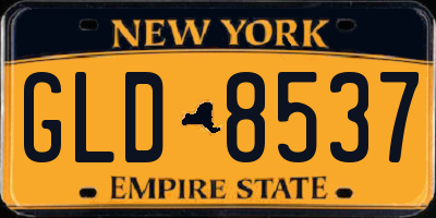 NY license plate GLD8537