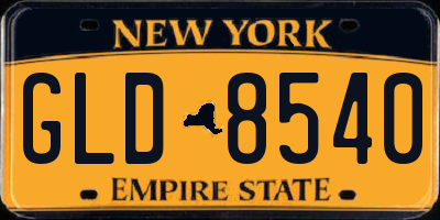 NY license plate GLD8540