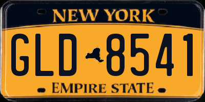 NY license plate GLD8541