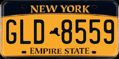 NY license plate GLD8559