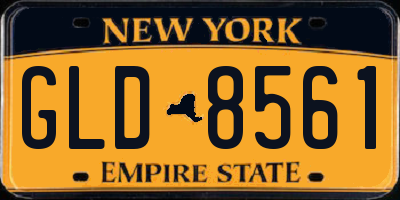 NY license plate GLD8561