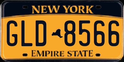 NY license plate GLD8566