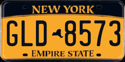 NY license plate GLD8573