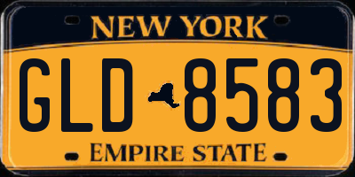 NY license plate GLD8583