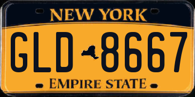 NY license plate GLD8667