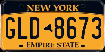 NY license plate GLD8673