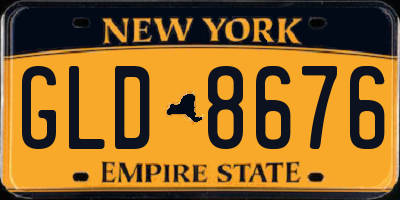 NY license plate GLD8676