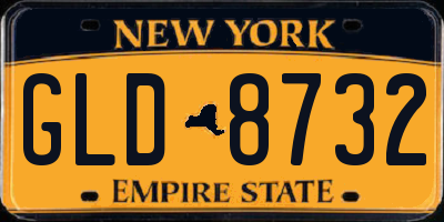 NY license plate GLD8732