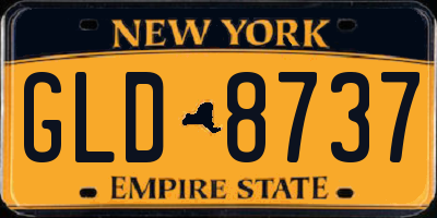 NY license plate GLD8737