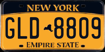 NY license plate GLD8809