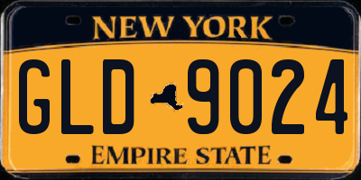 NY license plate GLD9024