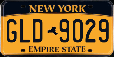 NY license plate GLD9029