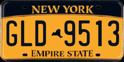 NY license plate GLD9513