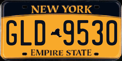 NY license plate GLD9530