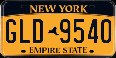 NY license plate GLD9540