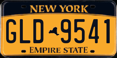NY license plate GLD9541