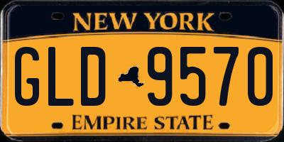 NY license plate GLD9570
