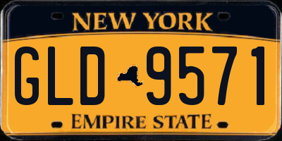 NY license plate GLD9571