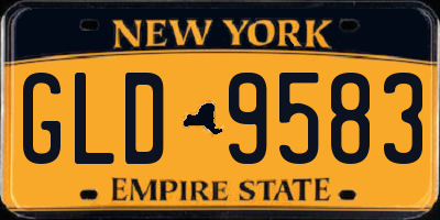 NY license plate GLD9583
