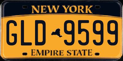 NY license plate GLD9599