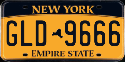 NY license plate GLD9666