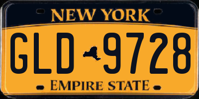 NY license plate GLD9728