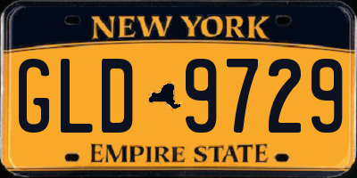 NY license plate GLD9729