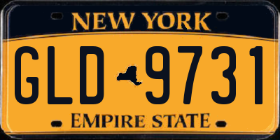 NY license plate GLD9731