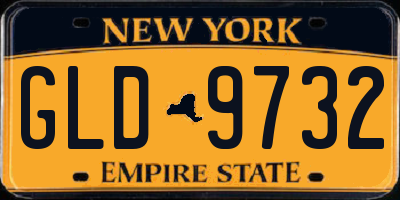 NY license plate GLD9732