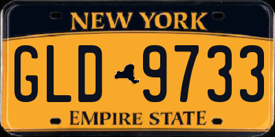 NY license plate GLD9733