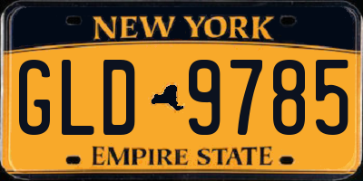 NY license plate GLD9785