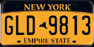 NY license plate GLD9813
