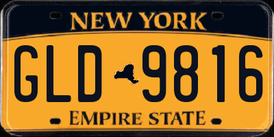 NY license plate GLD9816