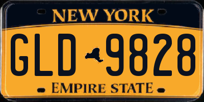 NY license plate GLD9828