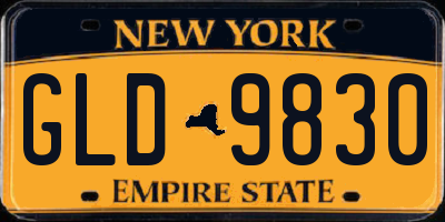 NY license plate GLD9830