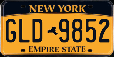 NY license plate GLD9852