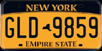 NY license plate GLD9859
