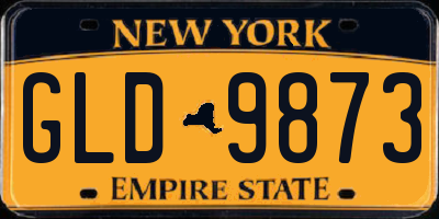NY license plate GLD9873
