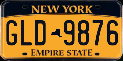 NY license plate GLD9876